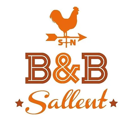 B&B Sallent بيت ضيافة 4*