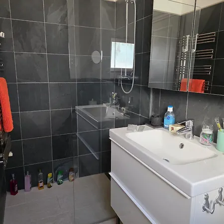 Guest house B&B Sallent 4*