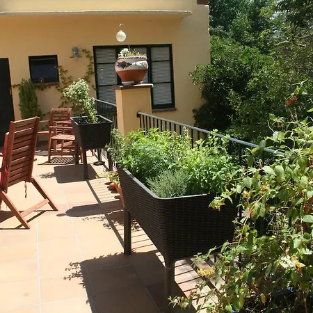 B&B Sallent