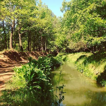 萨连特旅馆 萨连特